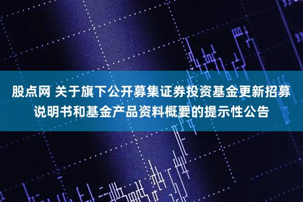 股点网 关于旗下公开募集证券投资基金更新招募说明书和基金产品资料概要的提示性公告