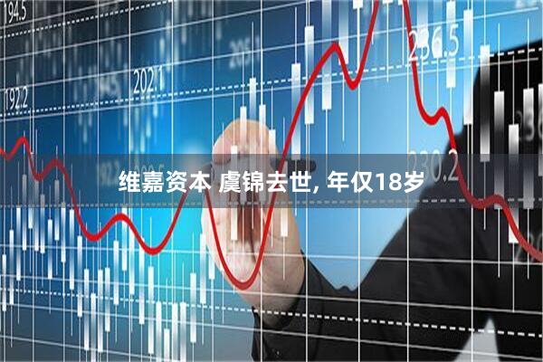 维嘉资本 虞锦去世, 年仅18岁