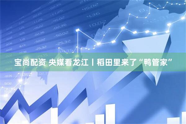 宝尚配资 央媒看龙江丨稻田里来了“鸭管家”
