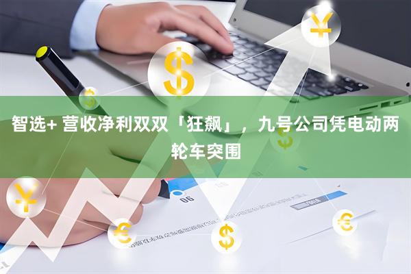 智选+ 营收净利双双「狂飙」，九号公司凭电动两轮车突围