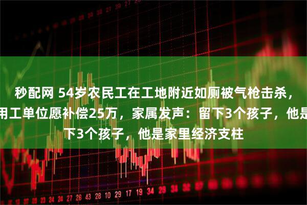 秒配网 54岁农民工在工地附近如厕被气枪击杀，肇事者自首，用工单位愿补偿25万，家属发声：留下3个孩子，他是家里经济支柱