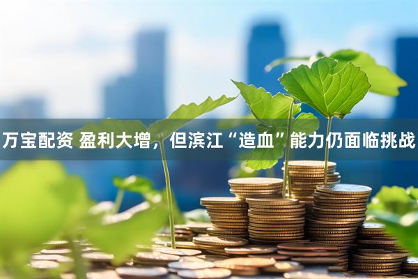 万宝配资 盈利大增，但滨江“造血”能力仍面临挑战