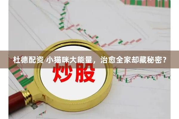 杜德配资 小猫咪大能量，治愈全家却藏秘密？