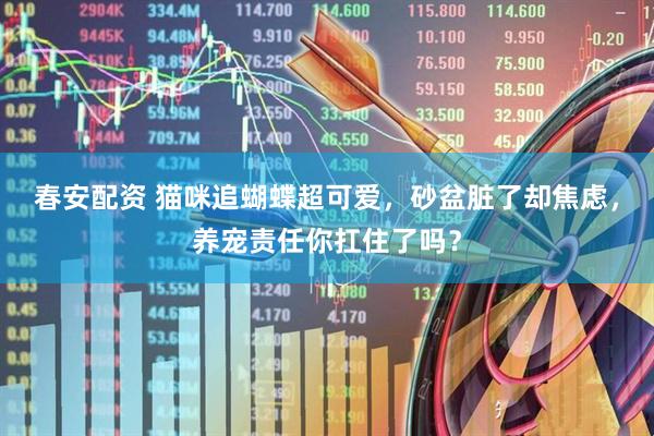 春安配资 猫咪追蝴蝶超可爱，砂盆脏了却焦虑，养宠责任你扛住了吗？
