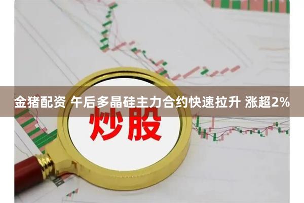 金猪配资 午后多晶硅主力合约快速拉升 涨超2%