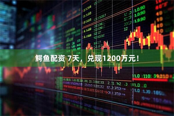 鳄鱼配资 7天，兑现1200万元！