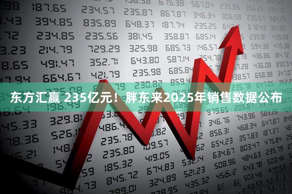 东方汇赢 235亿元！胖东来2025年销售数据公布